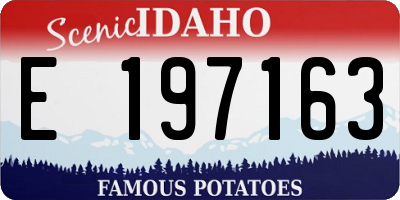 ID license plate E197163