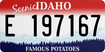 ID license plate E197167