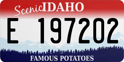 ID license plate E197202