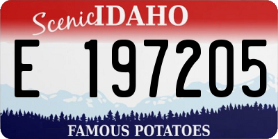 ID license plate E197205