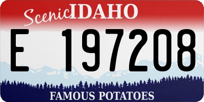 ID license plate E197208