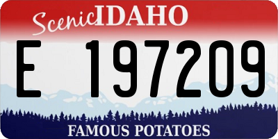 ID license plate E197209