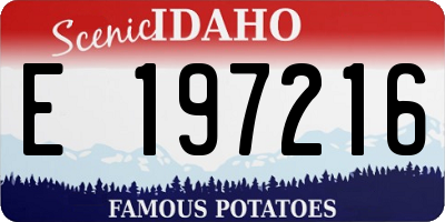 ID license plate E197216