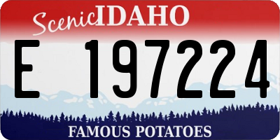 ID license plate E197224