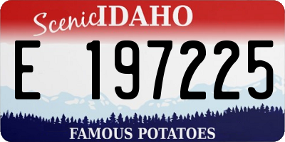 ID license plate E197225
