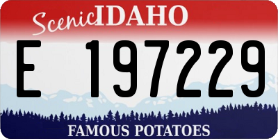 ID license plate E197229