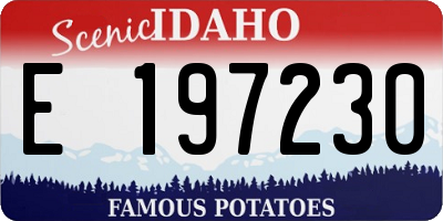 ID license plate E197230
