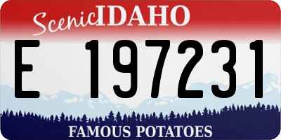 ID license plate E197231