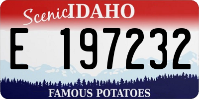 ID license plate E197232