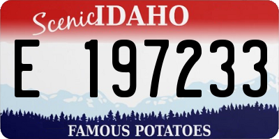 ID license plate E197233