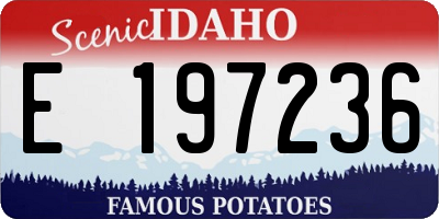 ID license plate E197236