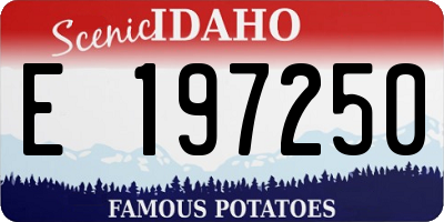 ID license plate E197250