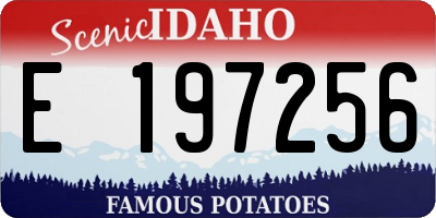 ID license plate E197256