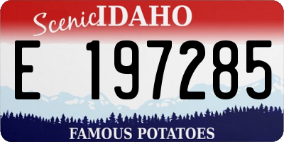 ID license plate E197285