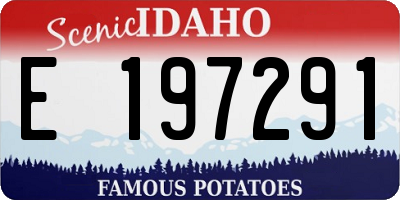 ID license plate E197291