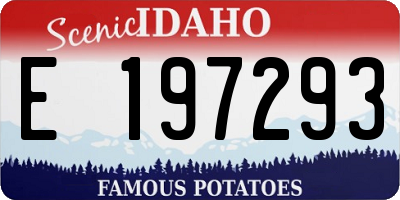 ID license plate E197293