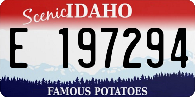 ID license plate E197294
