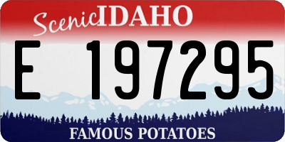 ID license plate E197295
