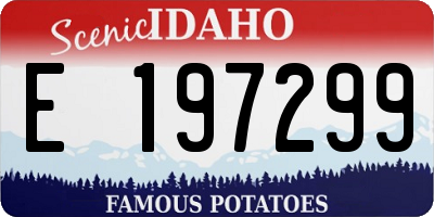 ID license plate E197299