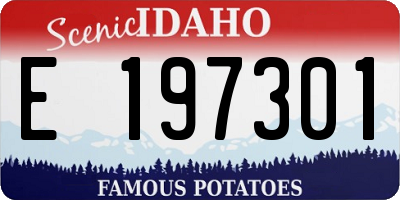 ID license plate E197301