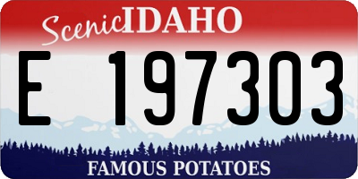 ID license plate E197303