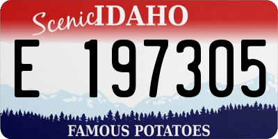 ID license plate E197305
