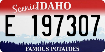 ID license plate E197307