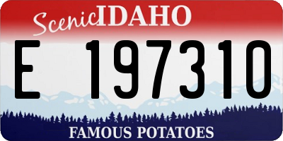 ID license plate E197310