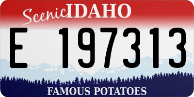 ID license plate E197313