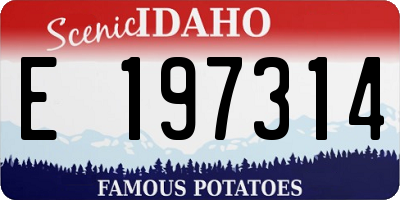 ID license plate E197314