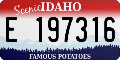 ID license plate E197316