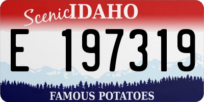 ID license plate E197319