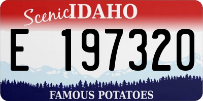 ID license plate E197320