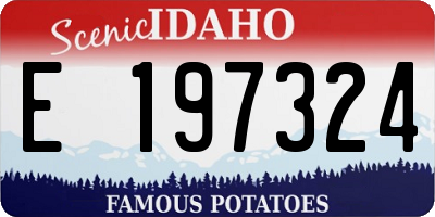 ID license plate E197324