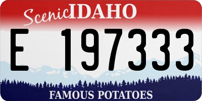 ID license plate E197333