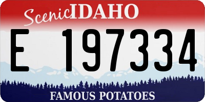 ID license plate E197334