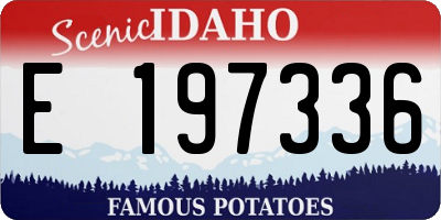 ID license plate E197336