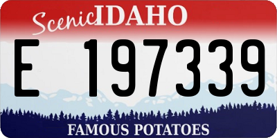 ID license plate E197339