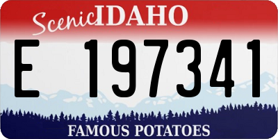 ID license plate E197341
