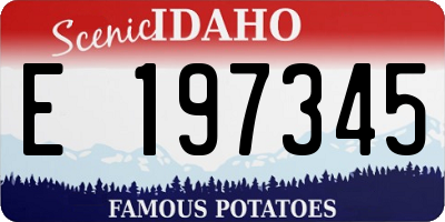 ID license plate E197345