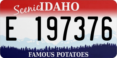 ID license plate E197376