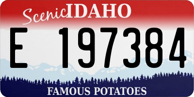ID license plate E197384