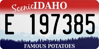 ID license plate E197385
