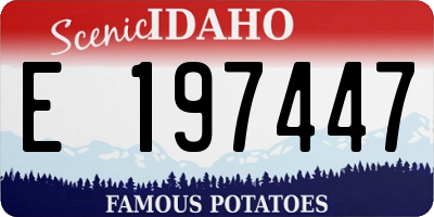 ID license plate E197447