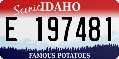 ID license plate E197481