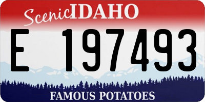 ID license plate E197493
