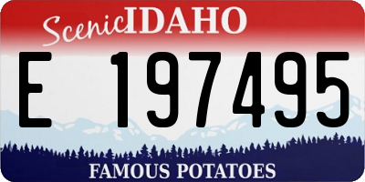 ID license plate E197495
