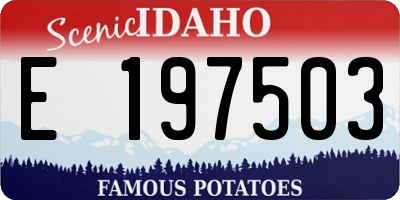 ID license plate E197503