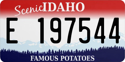 ID license plate E197544