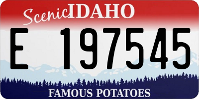 ID license plate E197545